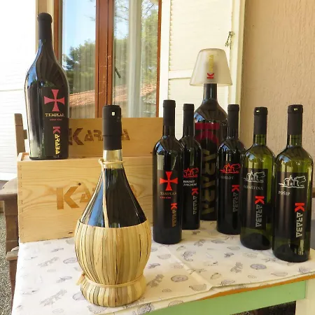 게스트하우스 Domino 파코스탄