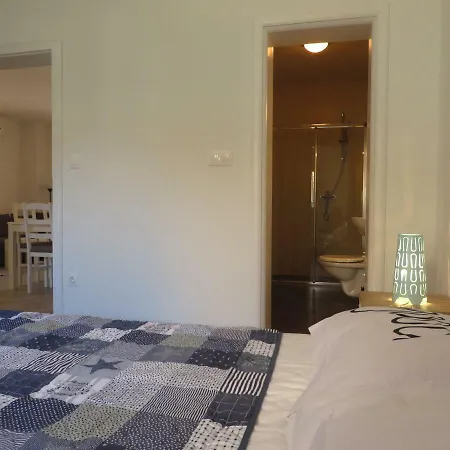 Guest house Domino 4*