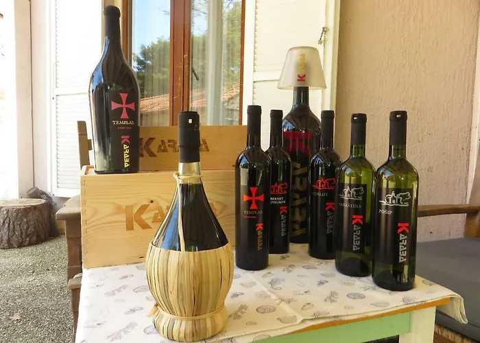 בית הארחה Domino פאקוסטאן